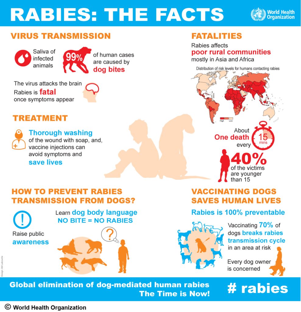 Rabies - The Facts | World Health Organization