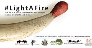 lightafirelogo_opt