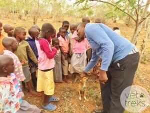 Teaching kindness to dogs in Kenya | Vet Treks Foundation