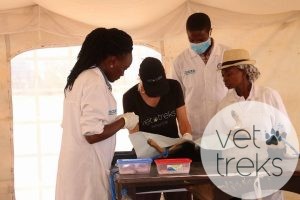 Kenya Veterinary Students