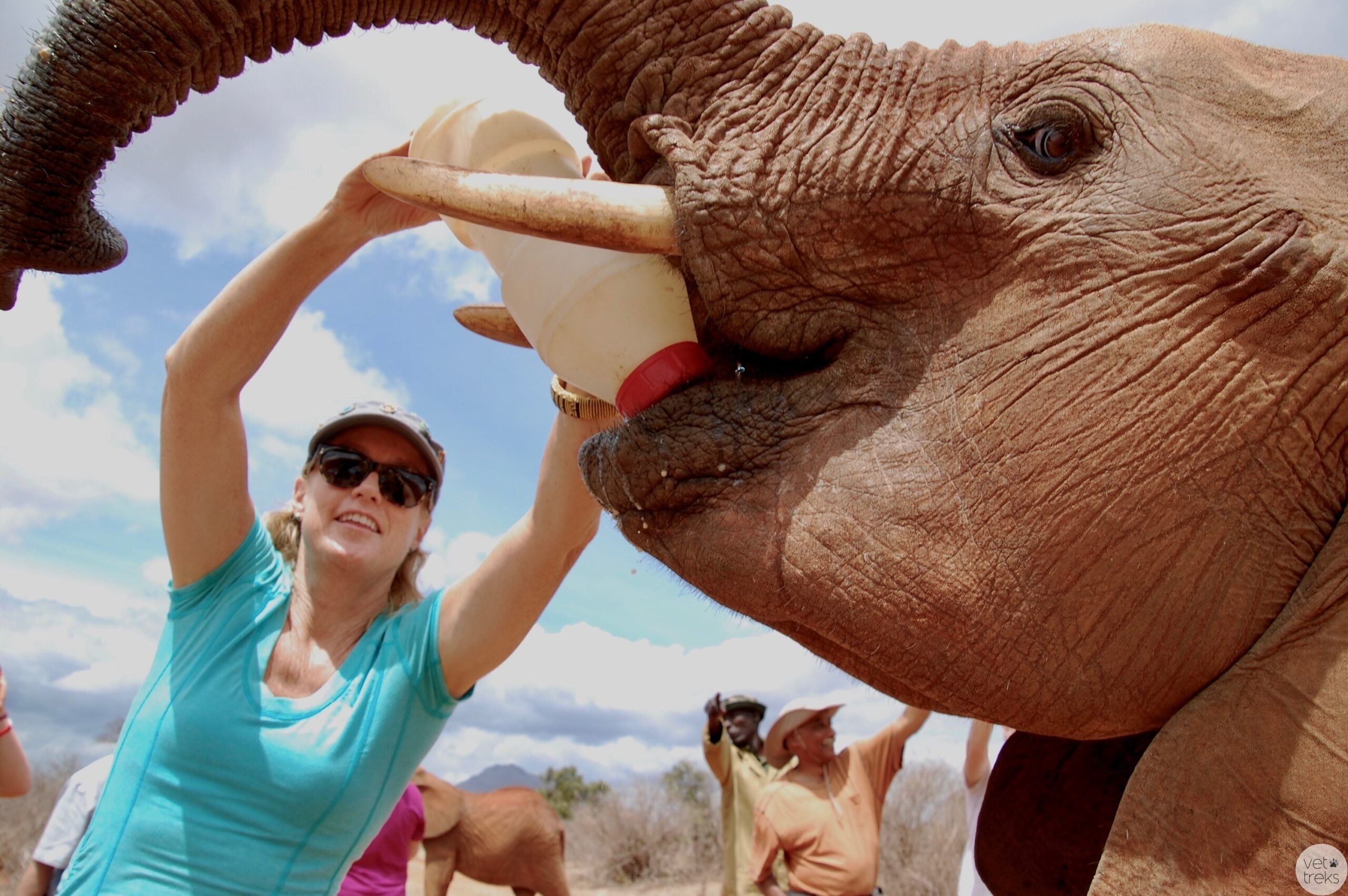 Rhea Dodd Vet Treks Africa Elephant